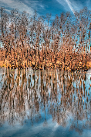 Reflections-Center