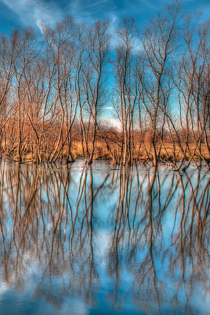 Reflections-Right