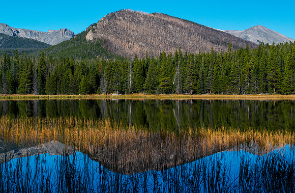RMNP-Bierstadt Lake Reflection