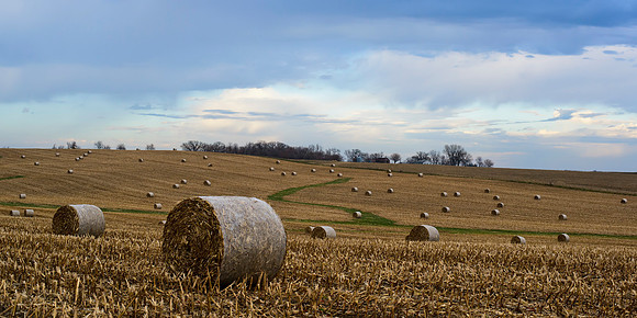 55 Bales