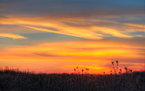 Dusty Sunset