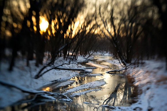 Snowy Creek Dreams