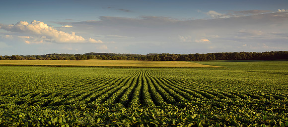 Vastness of Iowa