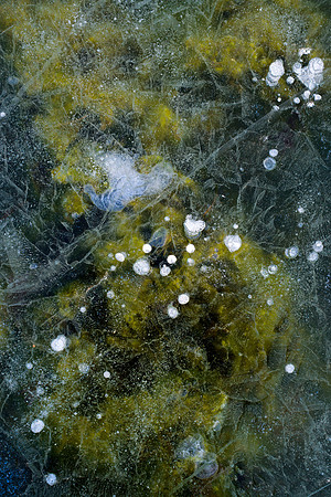 Lake McBride Ice