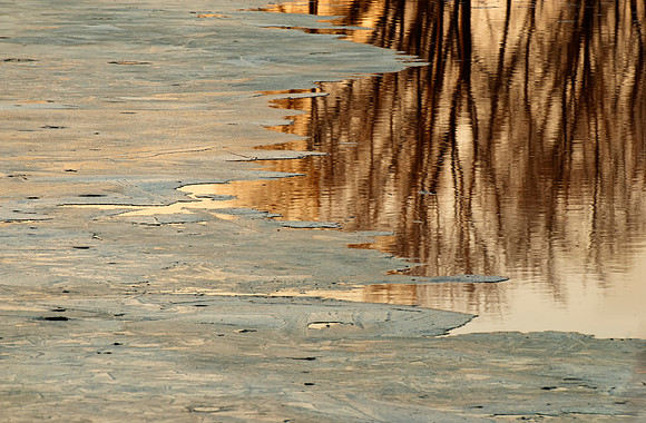 Ice and Reflections