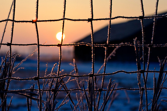 Frosty Sutliff Fence