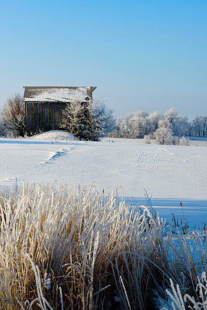 Winter in March