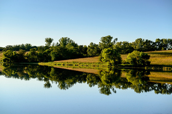 Floating in Reflections