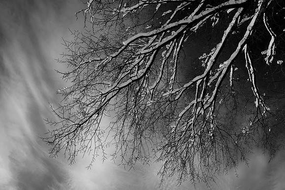 Snow and Clouds