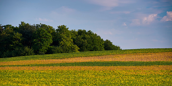The Turning Landscape