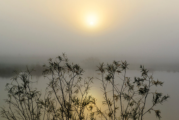 When Light Overcomes Fog