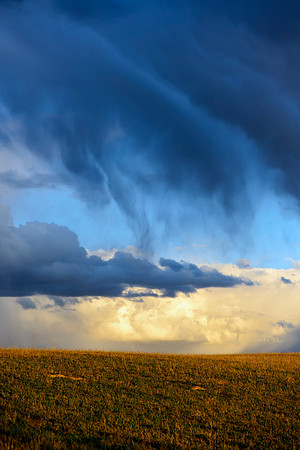Claw Cloud
