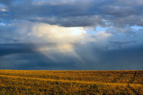 Sunday Afternoon Light