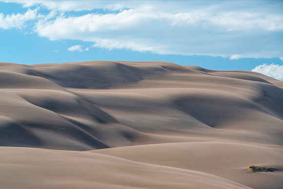 Earth Waves