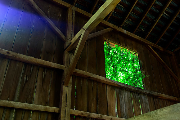 The Emerald Window