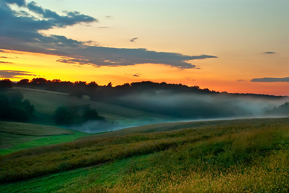 Foggy Valley