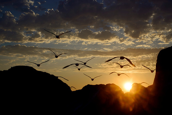 Rocky Shore Sunset
