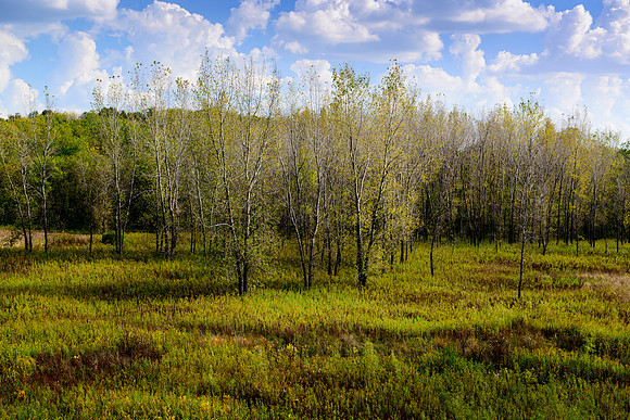 Volga River State Recreation Area