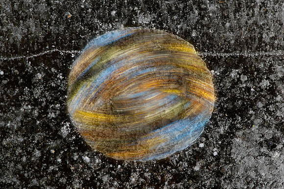Planet Ice