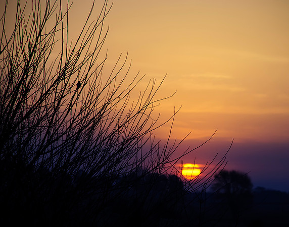 November Sunrise