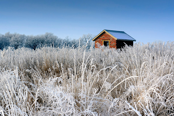 Frosty Light Road