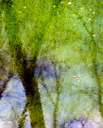 In the Realm of Reflections