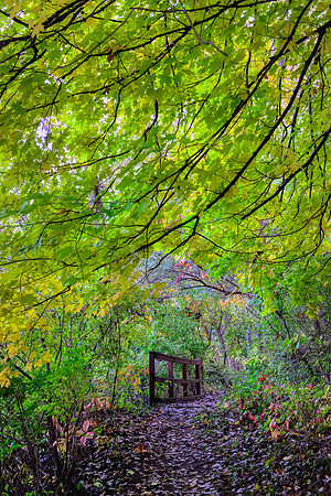 Nature Park Trail