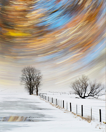 Longing for Color in Winter