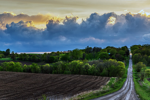 Spring Sunset of Abbe Hills Road