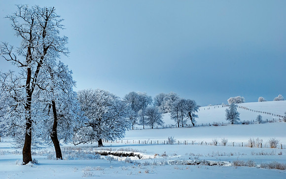 Hoarfrost on Mount Vernon Road