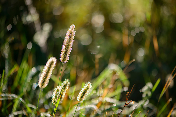 Warm and Fuzzy