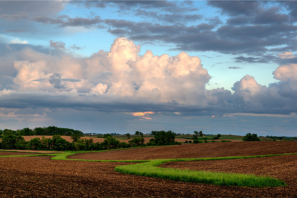 Iowa Landscape