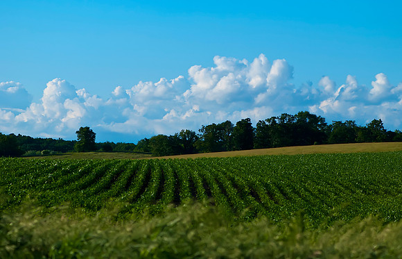 This is Iowa
