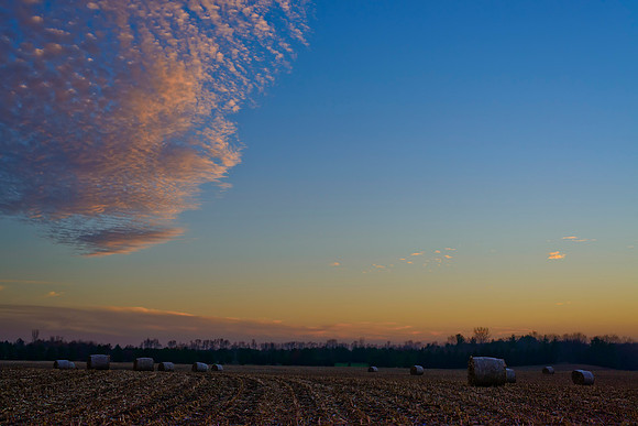 After the Harvest