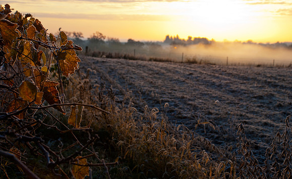 Foggy October Morning