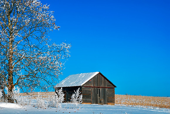 Sutliff Road Barn