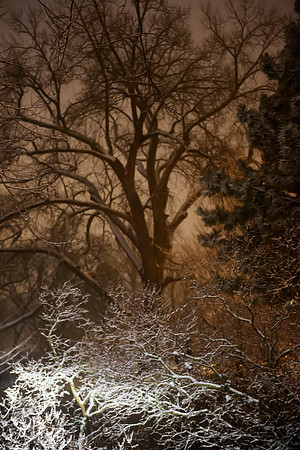 Ominous Snow