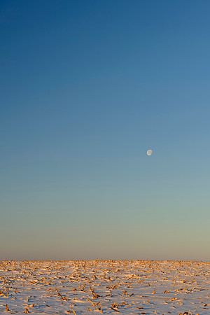 Is This Mars?