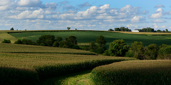 Cedar County Afternoon