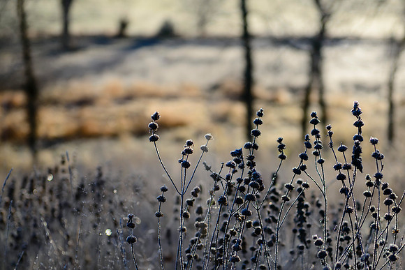 Darkness of Autumn