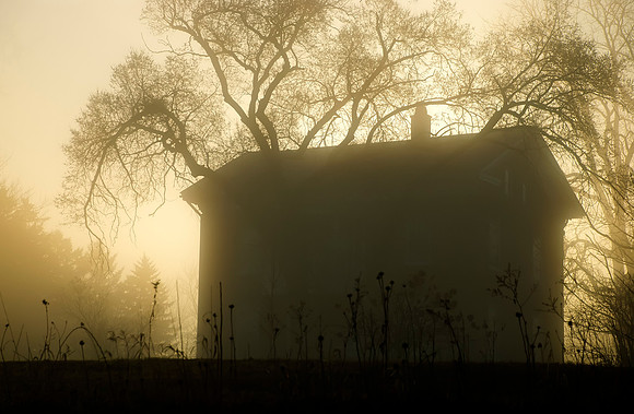 Wolfe Lane Homestead