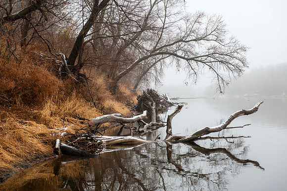 Cedar River Foggy Reflections