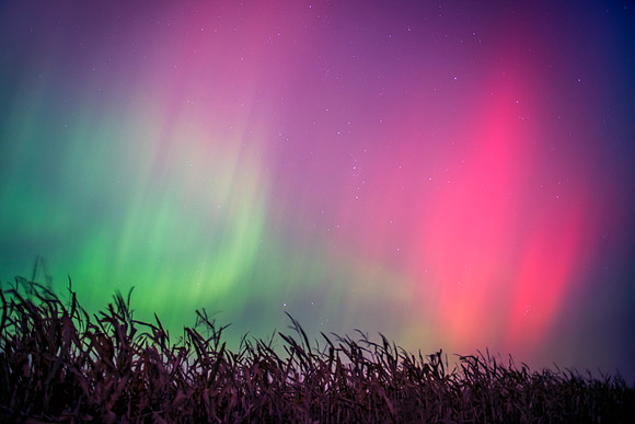 Northern Lights and Corn