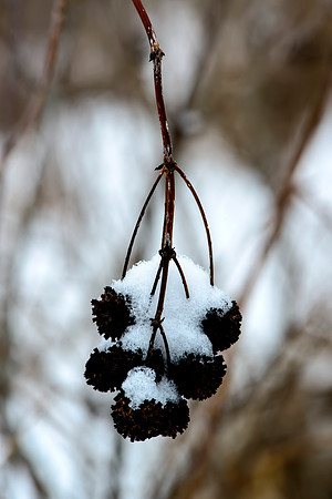 After the Snow