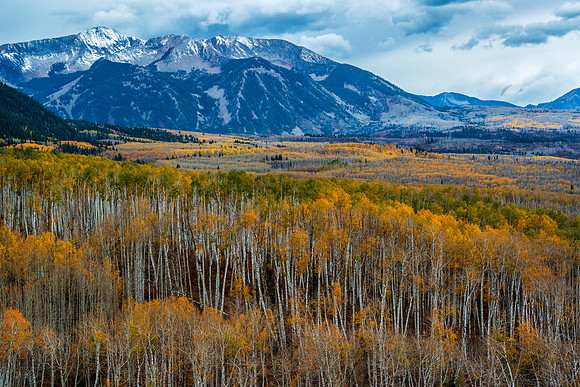 Kebler Pass-Autumn Colors