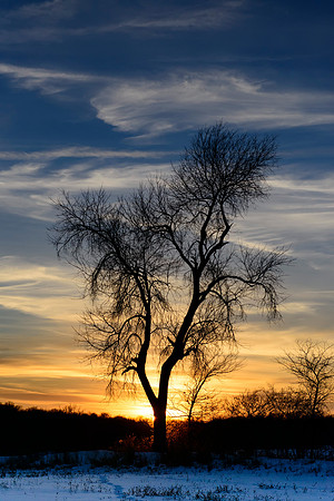 Winter Sunset Near Ivanhoe Road
