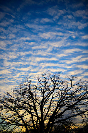 Quilted Sky