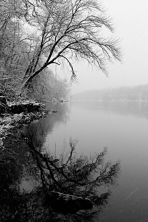 Cedar River in March