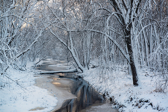 Clear Creek Winter Opal