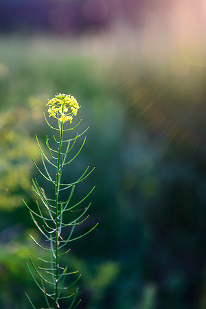 Shine on Me
